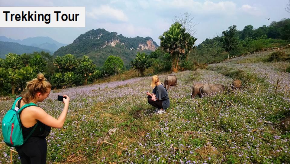 Ha Giang Amazing Hostel Exterior foto